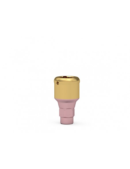 ICX-Narrow Maximus element pierwotny 2 - 3mm