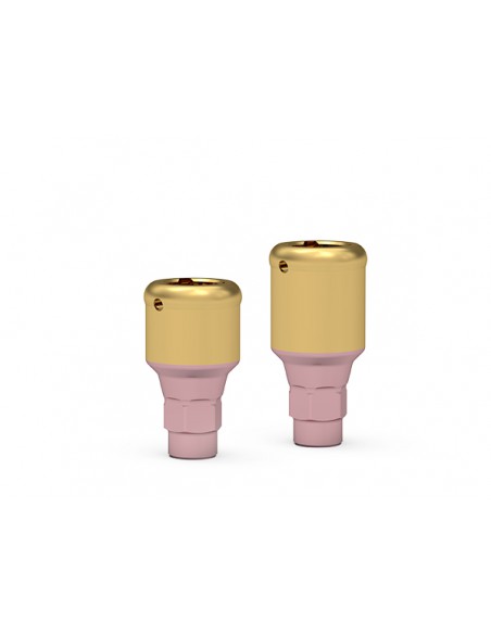 ICX-Narrow Maximus element pierwotny 2 - 3mm