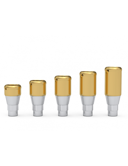 ICX-Maximus element pierwotny 1 - 5mm