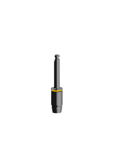 ICX-Magellan punch do śluzówki...