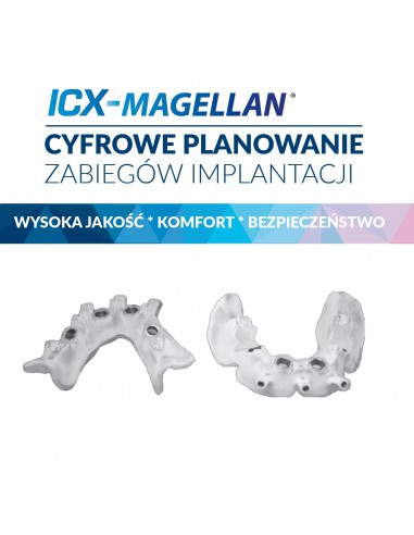 Model 3D - ICX Magellan