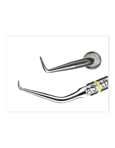 Zestaw Acteon Endosuccess Apical Surgery Kit